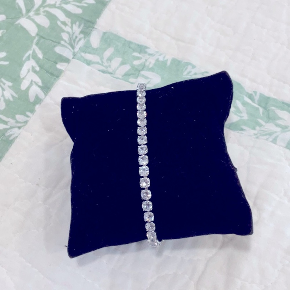 Silver Bolo - image 1